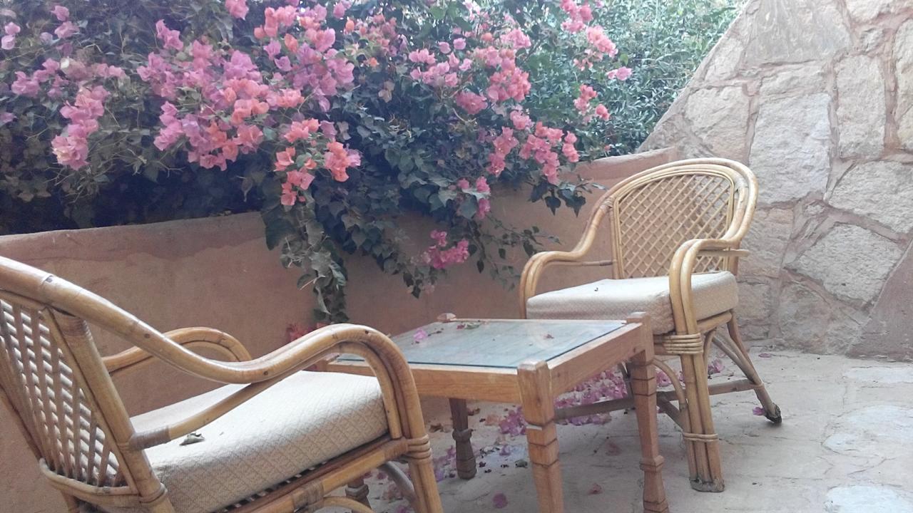 Eskaleh Eco-Lodge Αμπού Σίμπελ Εξωτερικό φωτογραφία