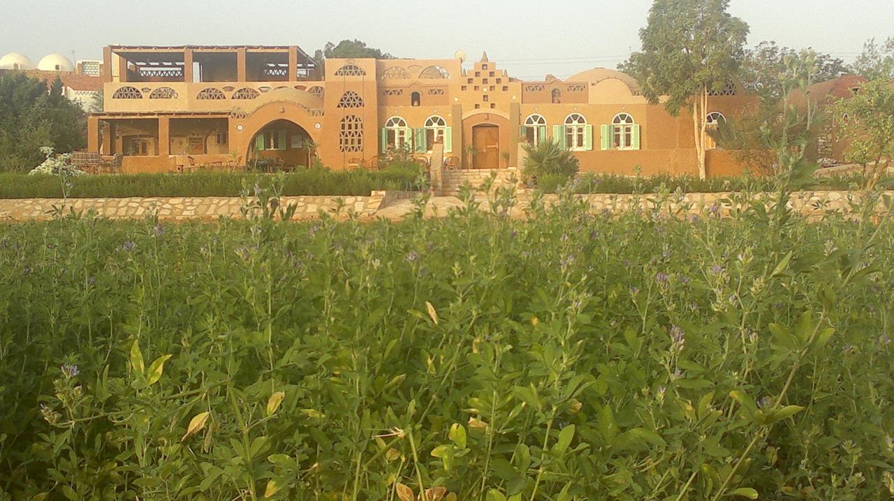 Eskaleh Eco-Lodge Αμπού Σίμπελ Εξωτερικό φωτογραφία